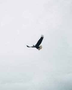 R. Kelly - I Believe I Can Fly