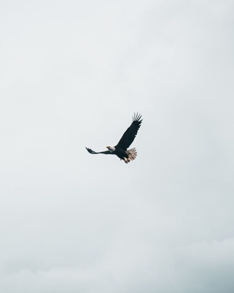 R. Kelly - I Believe I Can Fly